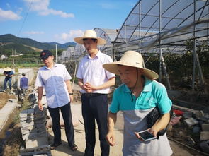 水產養殖災后恢復技術指導 浙江磐安、德清兩地行